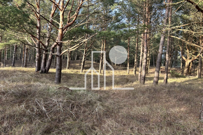 Zeme pārdošanai pie Baltijas jūras — foto 2