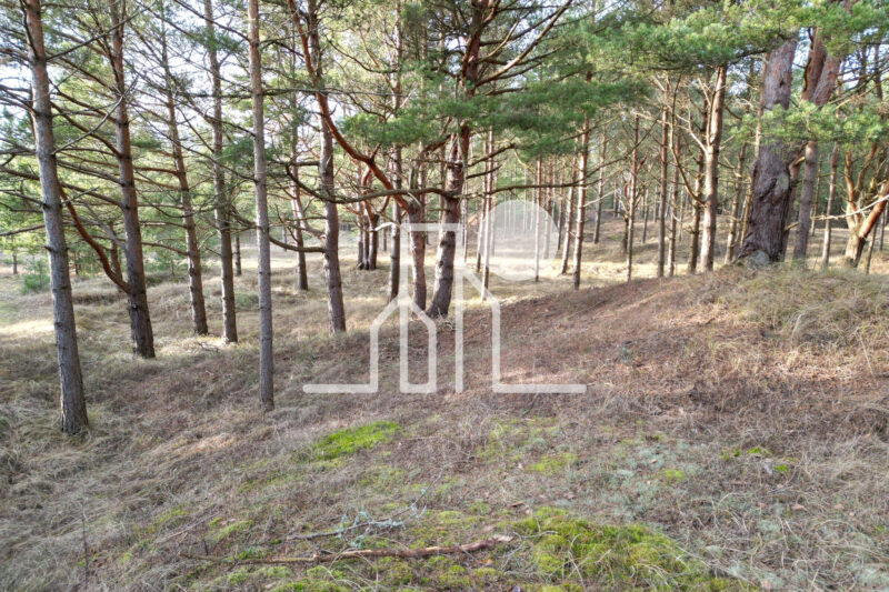 Zeme pārdošanai pie Baltijas jūras — foto 4