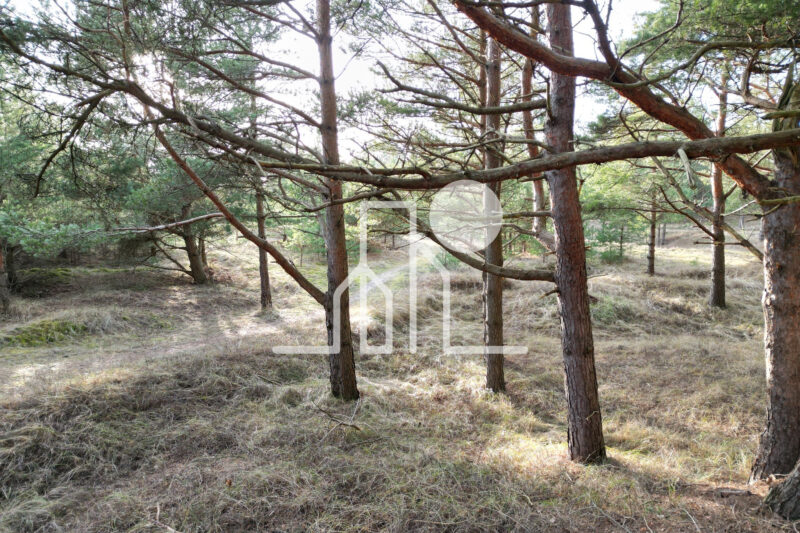 Zeme pārdošanai pie Baltijas jūras — foto 6