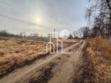 Pāriet uz foto 7